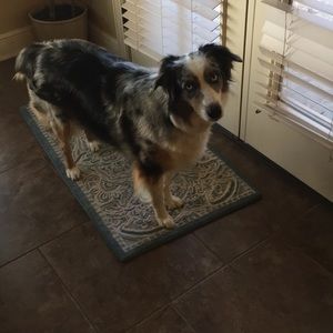 Meet your Posher, Tori